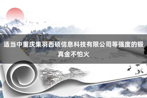 适当中重庆集羽西硕信息科技有限公司等强度的锻真金不怕火